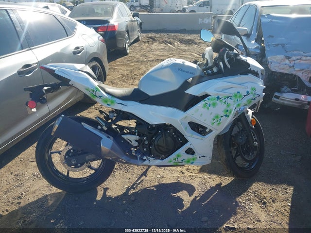 Kawasaki EX500 2025 ML5EXGG17SDA54137 Image 12