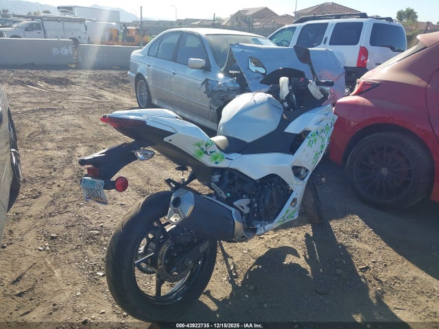 Kawasaki EX500 2025 ML5EXGG17SDA54137 Image 4