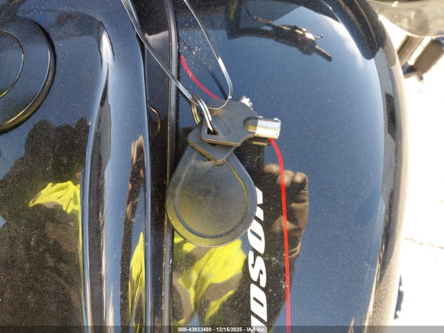 2018 HARLEY-DAVIDSON FLTRXS 1HD1KTC16JB616780 Photo 10