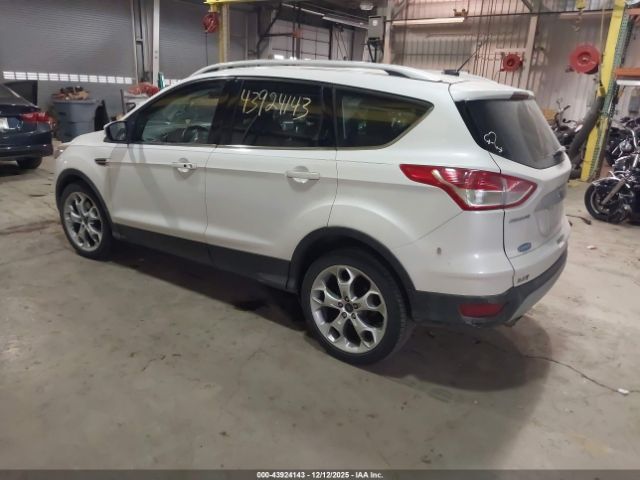 2014 FORD ESCAPE 1FMCU0J90EUD00129 Photo 2