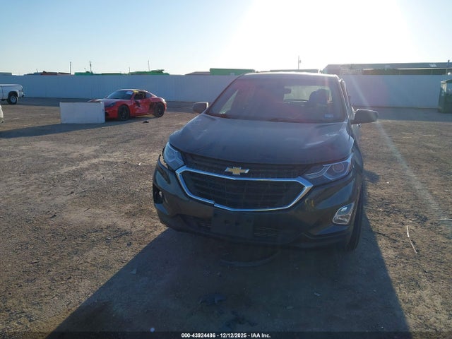 Продаж на аукціоні авто 2019 Chevrolet Equinox Ls, vin: 3GNAXHEV6KS605856, номер лоту: 43924486
