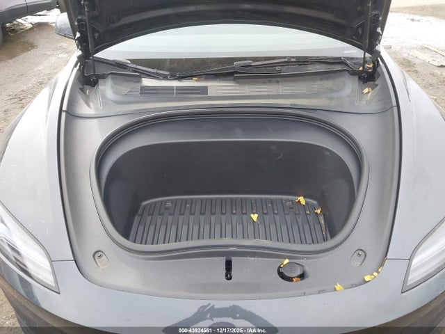 2025 TESLA MODEL 3 5YJ3E1EA0SF976399 Photo 9