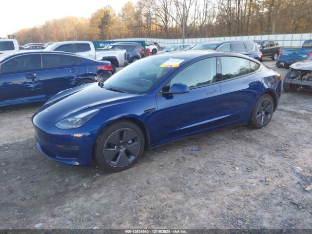 2021 TESLA MODEL 3 5YJ3E1EA8MF092097 Photo 1