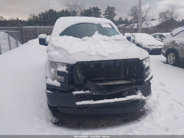 1FTMF1E88GKD40502 Ford F-150 Xl