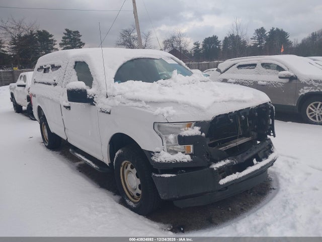 1FTMF1E88GKD40502 Ford F-150 Xl