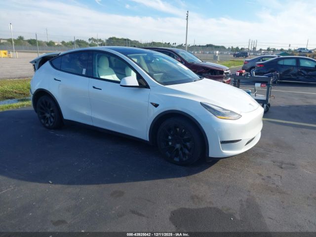2021 TESLA MODEL Y 5YJYGDEE1MF089823