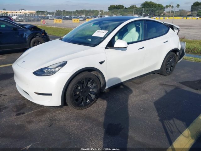 2021 TESLA MODEL Y 5YJYGDEE1MF089823 Photo 1