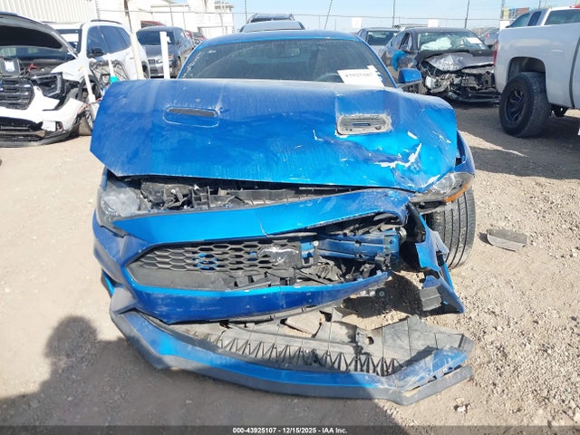 Ford Mustang Ecoboost 2019 1FA6P8TH3K5201974 Image 12