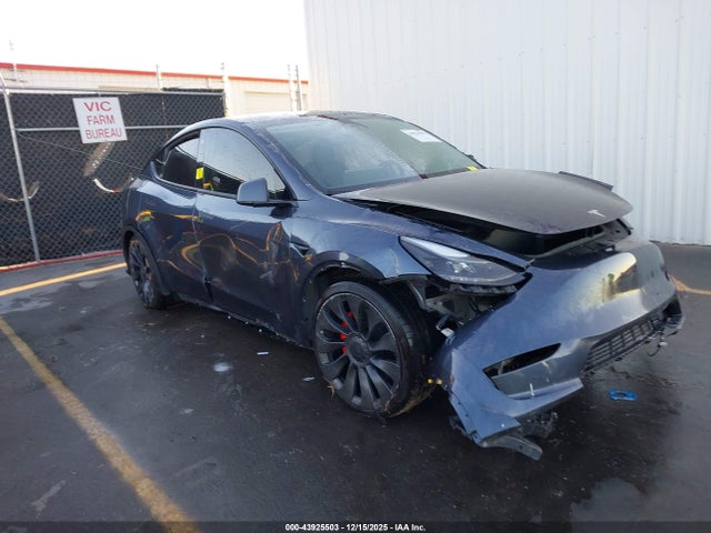 2023 TESLA MODEL Y 7SAYGDEF3PF785339 Photo 0