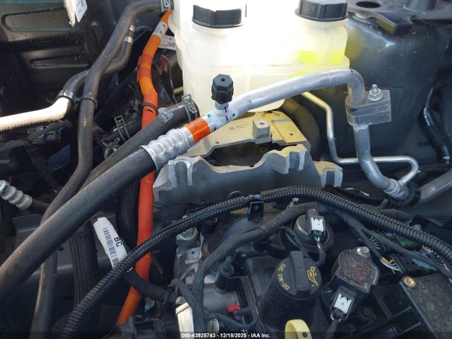 43925743 :رقم المزاد ، 3FTTW8H30SRB41405 vin ، 2025 Ford Maverick Xlt مزاد بيع