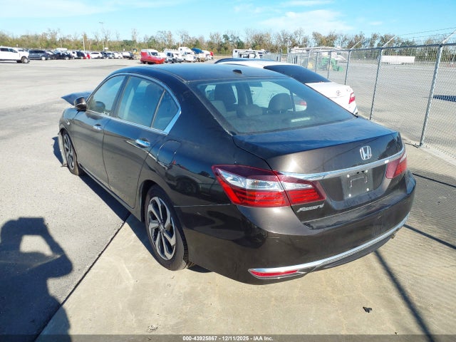 1HGCR2F81HA037528 Honda k24w1