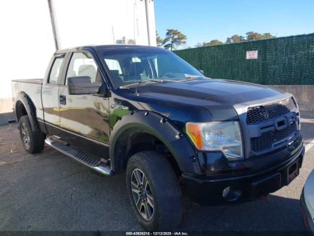 2009 FORD F-150 1FTRX14W89FA80276