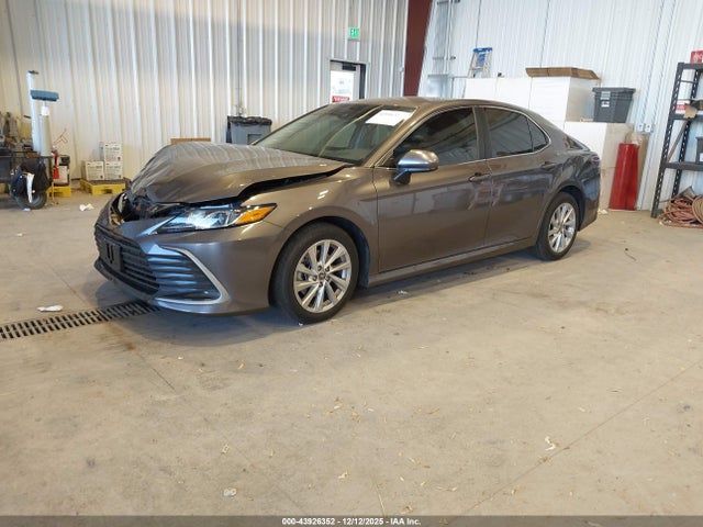Toyota CAMRY LE 2023 4T1C11AK9PU785908 Image 2