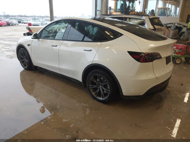 2024 TESLA MODEL Y 7SAYGAEE9RF212793 Photo 2