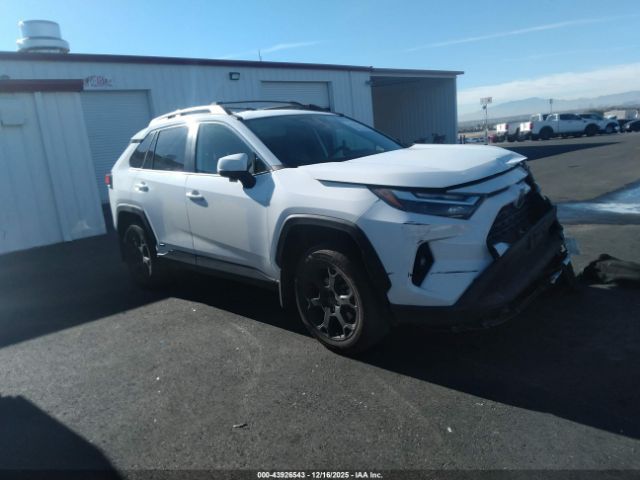 2023 TOYOTA RAV4 HYBRID 2T3UWRFV4PW166373