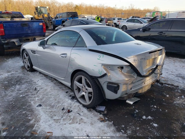 2013 MERCEDES-BENZ SLK 250 WDDPK4HA1DF059743 Photo 2