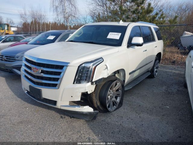 2015 CADILLAC ESCALADE 1GYS4NKJ9FR537156 Photo 1