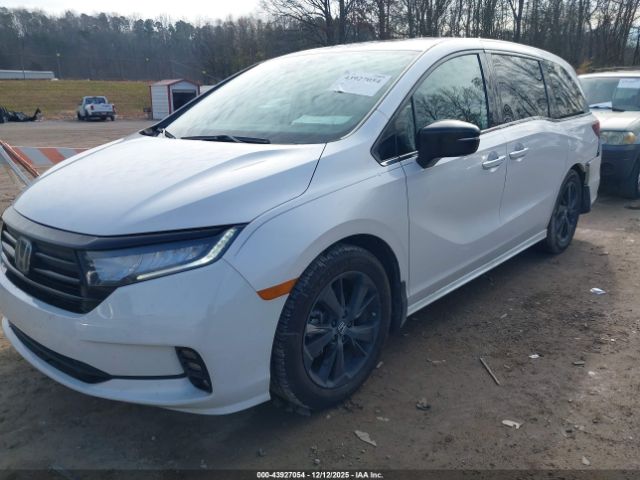 2024 HONDA ODYSSEY 5FNRL6H75RB075102 Photo 1