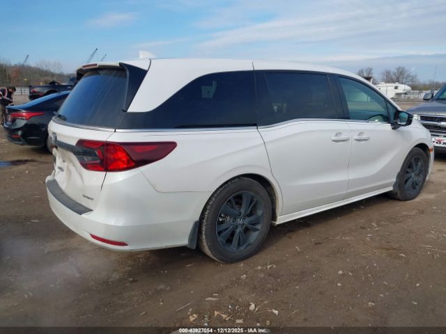 2024 HONDA ODYSSEY 5FNRL6H75RB075102 Photo 3