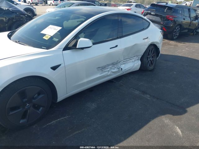 2021 TESLA MODEL 3 5YJ3E1EAXMF083661 Photo 5