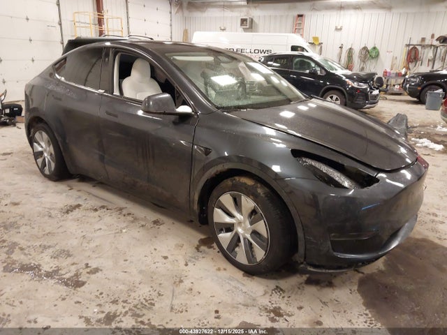 2024 TESLA MODEL Y 7SAYGDEEXRA225907 Photo 0