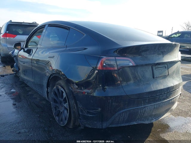2024 TESLA MODEL Y 7SAYGDEE4RF158854 Photo 2