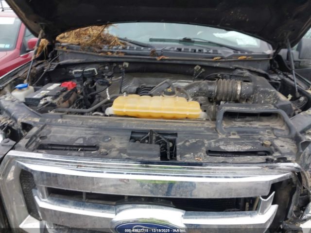 2017 FORD F-150 1FTEW1EF3HKC46807 Photo 9