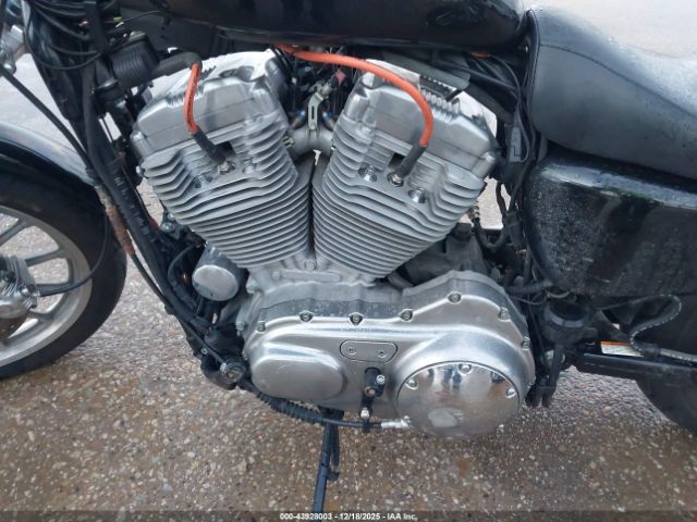 2007 HARLEY-DAVIDSON XL883 1HD4CN2137K434034 Photo 8