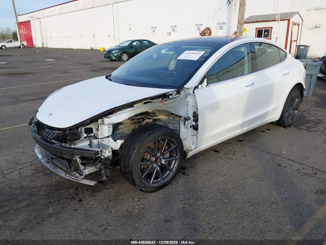 43928043 :رقم المزاد ، 5YJ3E1EA0LF804567 vin ، 2020 Tesla Model 3 Standard Range Plus Rear-wheel Drive/standard Range Rear-wheel Drive مزاد بيع