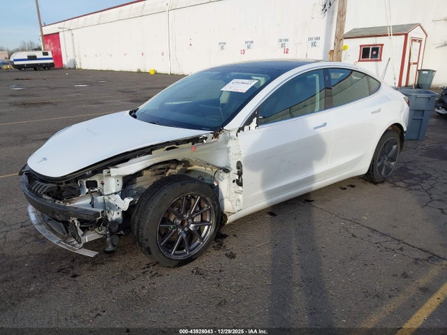 43928043 :رقم المزاد ، 5YJ3E1EA0LF804567 vin ، 2020 Tesla Model 3 Standard Range Plus Rear-wheel Drive/standard Range Rear-wheel Drive مزاد بيع