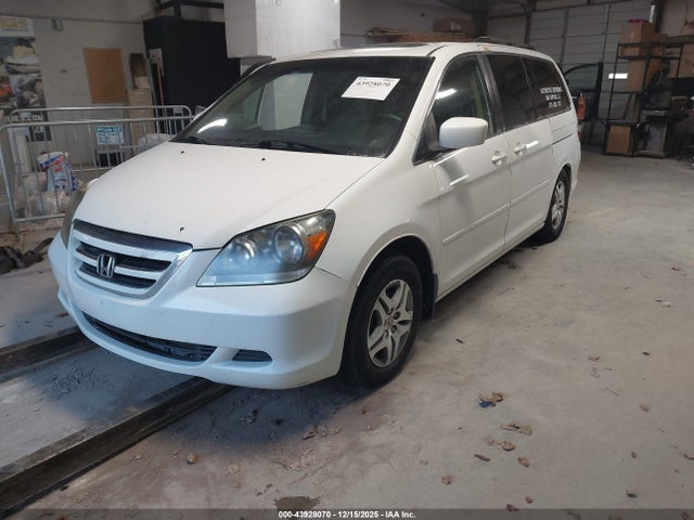 Продажа на аукционе авто 2007 Honda Odyssey Ex-l, vin: 5FNRL38787B417962, номер лота: 43928070