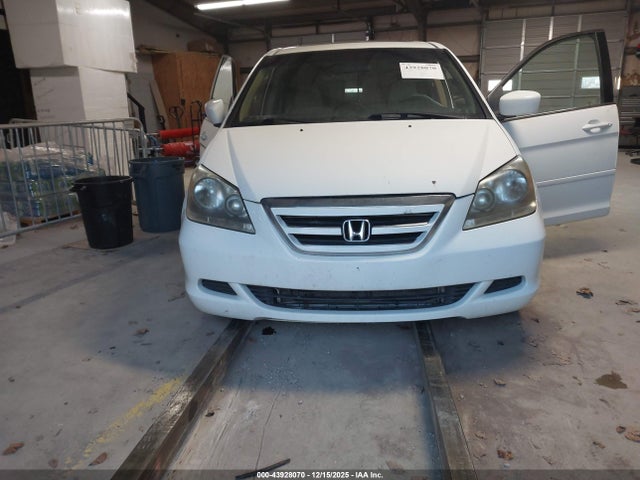Продажа на аукционе авто 2007 Honda Odyssey Ex-l, vin: 5FNRL38787B417962, номер лота: 43928070