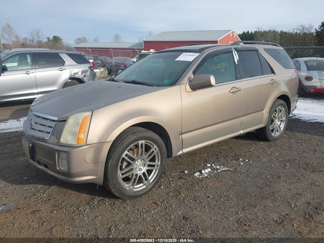 2007 CADILLAC SRX 1GYEE637970149322 Photo 1