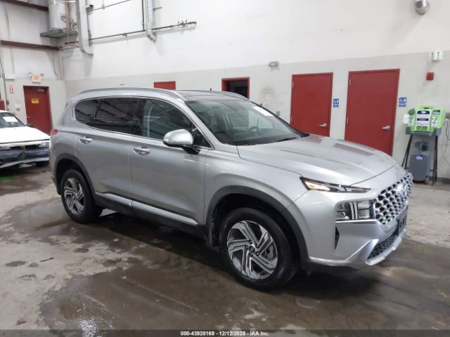 2023 HYUNDAI SANTA FE 5NMS3DAJ8PH648307