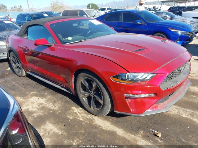 Ford Mustang Ecoboost 2020 1FATP8UH4L5130660 главное изображение