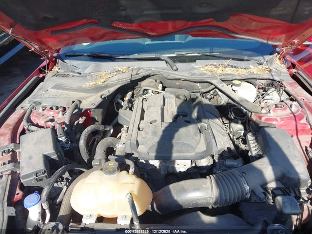 Ford Mustang Ecoboost 2020 1FATP8UH4L5130660 Image 10