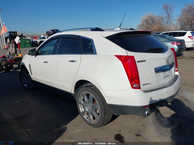 2010 CADILLAC SRX 3GYFNEEY2AS597390 Photo 2