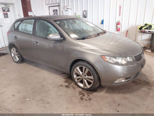 2013 KIA FORTE KNAFW5A38D5667130