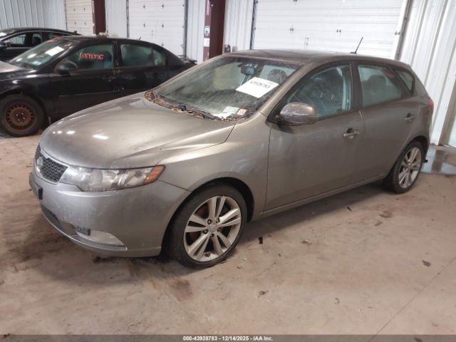2013 KIA FORTE KNAFW5A38D5667130 Photo 1