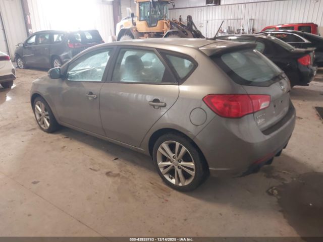 2013 KIA FORTE KNAFW5A38D5667130 Photo 2
