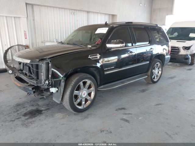 2011 CADILLAC ESCALADE 1GYS3BEF2BR186190 Photo 1