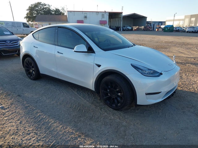 2021 TESLA MODEL Y 5YJYGDEE5MF257351 Photo 0