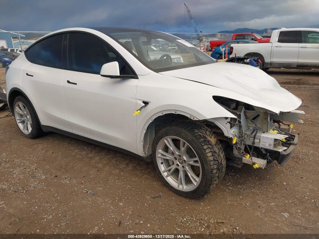 2023 TESLA MODEL Y 7SAYGDEE8PA145633 Photo 0