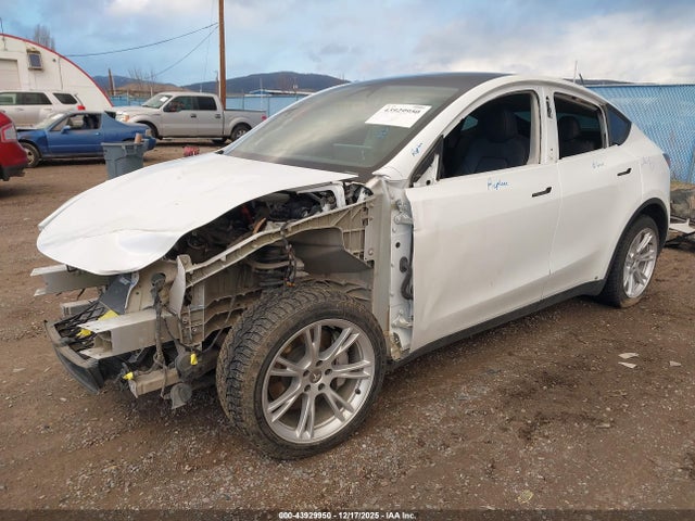 2023 TESLA MODEL Y 7SAYGDEE8PA145633 Photo 1