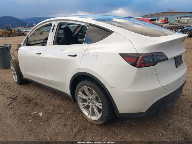2023 TESLA MODEL Y 7SAYGDEE8PA145633 Photo 2