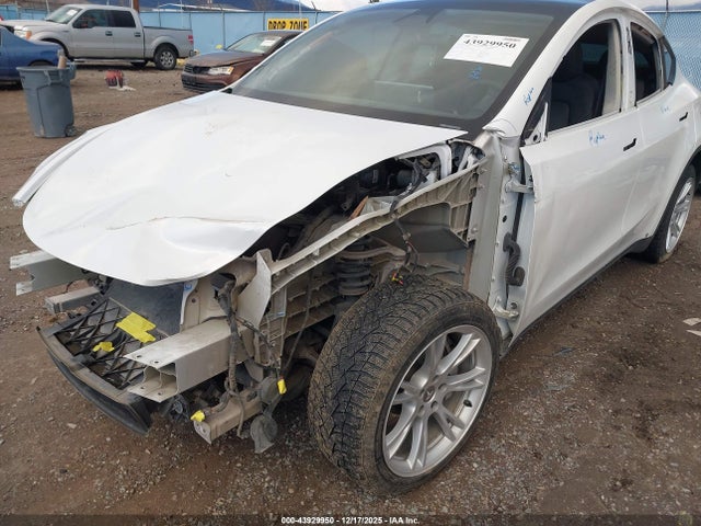 2023 TESLA MODEL Y 7SAYGDEE8PA145633 Photo 5