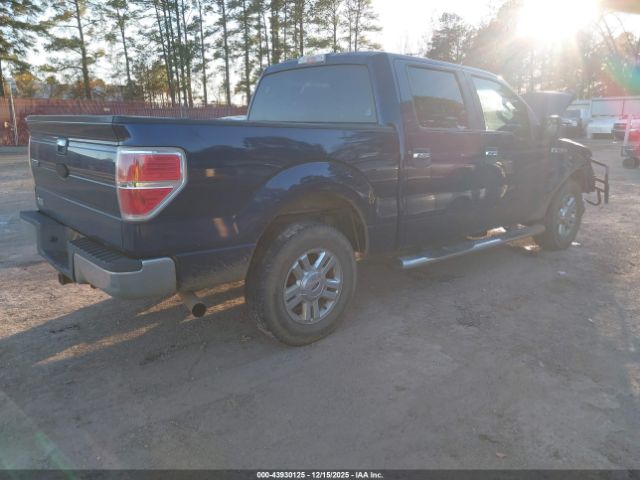2010 FORD F-150 1FTEW1C89AKA22550 Photo 3