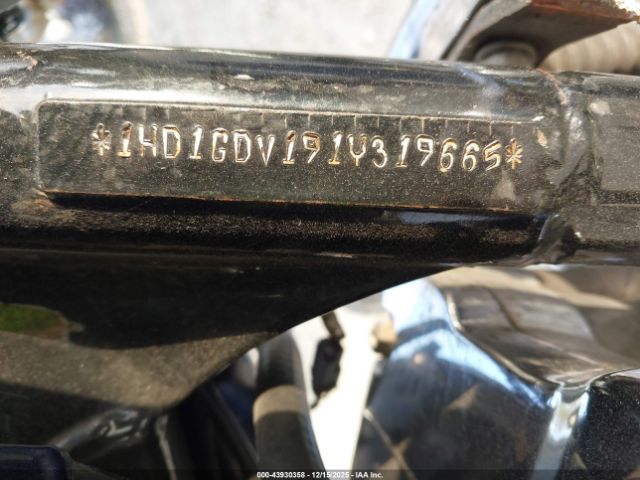 2001 HARLEY-DAVIDSON FXDL 1HD1GDV191Y319665 Photo 9