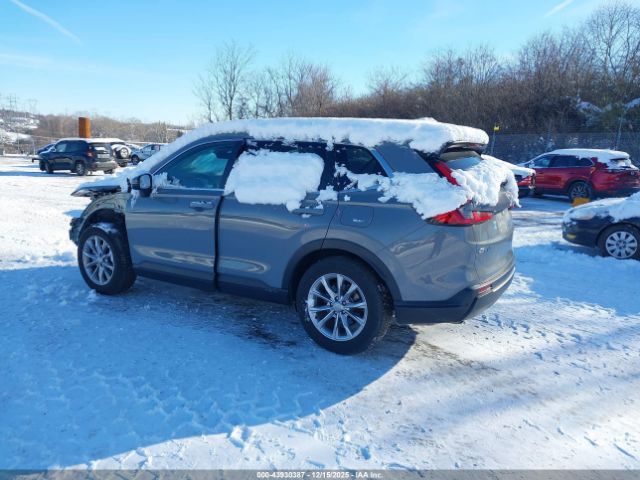 2024 HONDA CR-V 2HKRS4H73RH456584 Photo 2