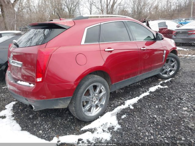 2011 CADILLAC SRX 3GYFNBEY5BS571172 Photo 3